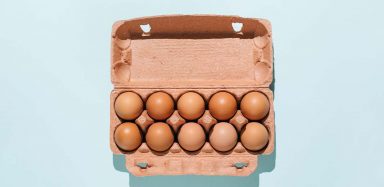 A carton of eggs against a light blue background.
