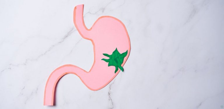 A pink paper cut out of a stomach on a white background. It has a green spot on it to indicate a cancer tumor.